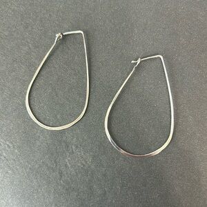 Silver earrings. Bought in Asheville NC at Elementality.